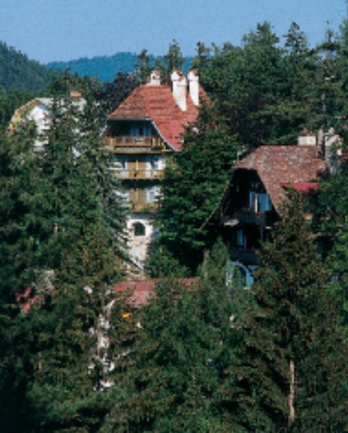 Historische Villenkolonie am Semmering